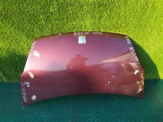 Капот TOYOTA PASSO QNC10 53301-B1020 1 ракурс