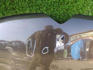 Капот DS4 NX