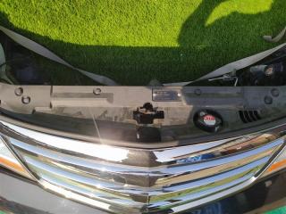 Nose cut HONDA ELYSION RR1 K24A P7040 4 ракурс
