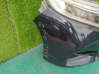 Nose cut HONDA SHUTTLE GP7 LEB W2386 4 ракурс