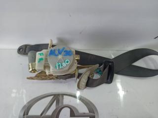 Ремень безопасности правый передний TOYOTA CAMRY ACV30 2AZ-FE 7321033300C1 1 ракурс