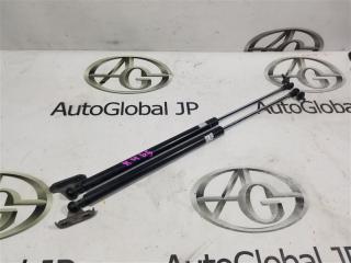 Амортизатор капота передний NISSAN MURANO PNZ51 VQ35DE 654701AA0A 4 ракурс