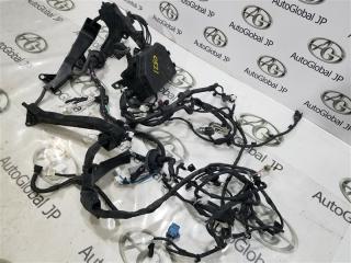Коса двс TOYOTA CH-R NGX50 8NR-FTS 8211110C60 2 ракурс