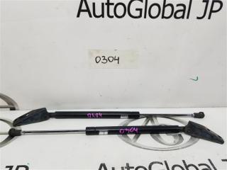 Амортизатор багажника SUZUKI SX4 YB41S J20A 8185080810 1 ракурс