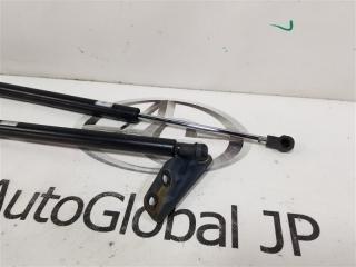 Амортизатор багажника SUZUKI SX4 YB41S J20A 8185080810 2 ракурс