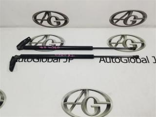 Амортизатор багажника NISSAN X-TRAIL HNT32 MR20DD 904504CL0B 1 ракурс