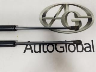 Амортизатор багажника NISSAN X-TRAIL HNT32 MR20DD 904504CL0B 2 ракурс