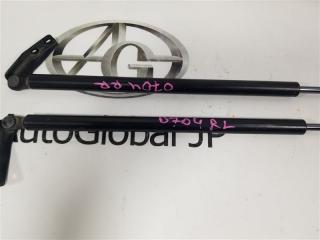 Амортизатор багажника NISSAN X-TRAIL HNT32 MR20DD 904504CL0B 3 ракурс