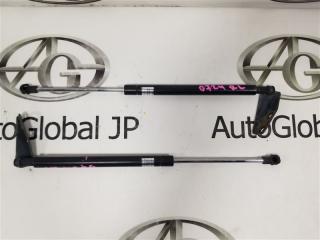 Амортизатор багажника SUZUKI SX4 YA41S J20A 8185080810 1 ракурс