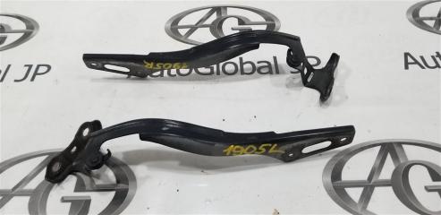 Петля капота HONDA INSIGHT ZE3 LEA 60120TM8A00ZZ 1 ракурс