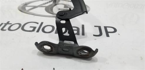 Петля капота HONDA INSIGHT ZE3 LEA 60120TM8A00ZZ 3 ракурс