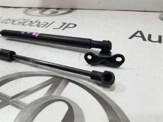 Амортизатор багажника задний HONDA FIT GP5 LEB 74820T5AZ01 5 ракурс