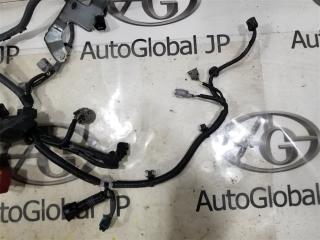 Коса двс TOYOTA COROLLA FIELDER NRE161G 2NR-FKE 8212152T80 2 ракурс