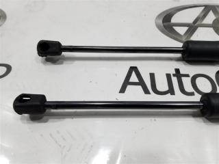 Амортизатор багажника HONDA FIT GR2 L13B 74820TZA003 2 ракурс