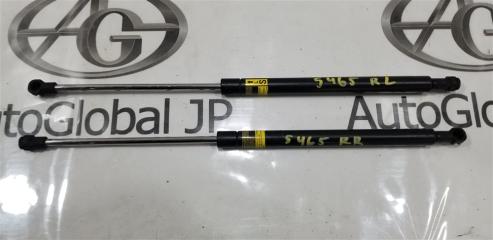 Амортизатор багажника TOYOTA COROLLA FIELDER NRE161G 2NR-FKE 6896013240 1 ракурс