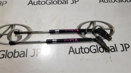 Амортизатор багажника SUZUKI SX4 YB41S J20A 8185080810 1 ракурс
