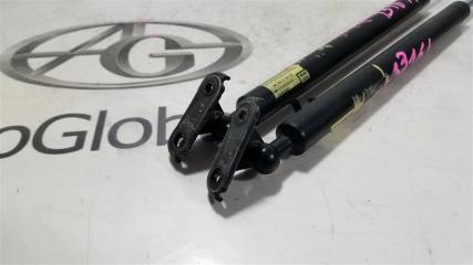 Амортизатор багажника TOYOTA HARRIER GSU35W 2GR-FE 6896049165 2 ракурс