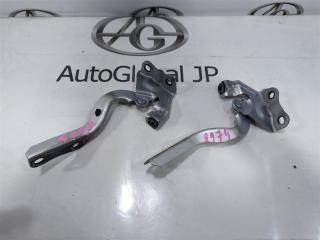 Петля капота TOYOTA SAI AZK10 2AZ-FXE 5341075020 1 ракурс