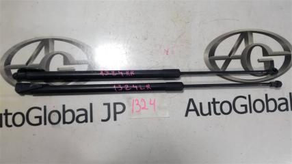 Амортизатор багажника NISSAN X-TRAIL TNT31 QR25DE 90450JG000 1 ракурс
