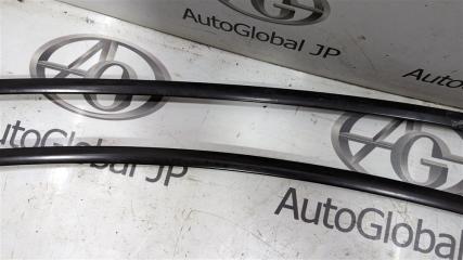 Молдинги на крыше Tesla Model 3 5YJ3 108352040D 5 ракурс Молдинги на крыше Tesla Model 3 5YJ3 108352040D 5 ракурс