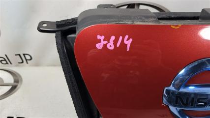 Зарядное гнездо NISSAN LEAF ZE0 EM61 657013NB3B 4 ракурс Зарядное гнездо NISSAN LEAF ZE0 EM61 657013NB3B 4 ракурс