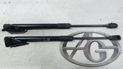 Амортизатор багажника NISSAN LEAF AZE0 EM57 904503NK1A 2 ракурс