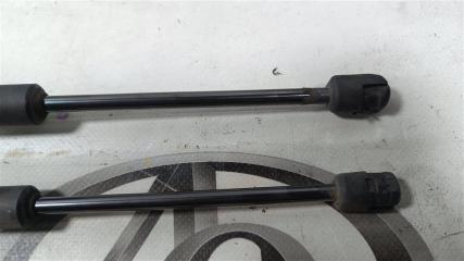 Амортизатор багажника NISSAN LEAF AZE0 EM57 904503NK1A 3 ракурс