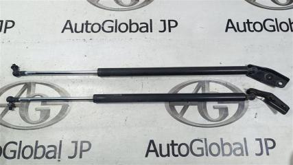 Амортизатор багажника HONDA FREED SPIKE GP3 LEA 04741SYY003 2 ракурс Амортизатор багажника HONDA FREED SPIKE GP3 LEA 04741SYY003 2 ракурс