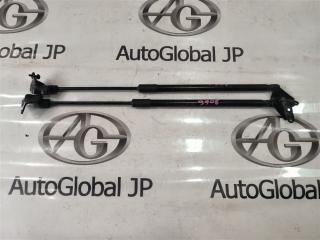 Амортизатор багажника NISSAN LEAF ZE1 EM57 904505SK1A 1 ракурс