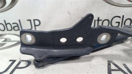 Петля капота BMW X5 E70 N55B30A 41007198617 2 ракурс