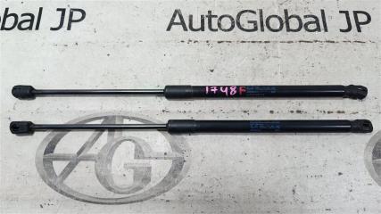 Амортизатор капота AUDI Q7 4L CJTC 4L0823359 1 ракурс