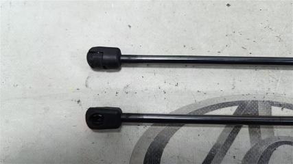 Амортизатор капота AUDI Q7 4L CJTC 4L0823359 2 ракурс