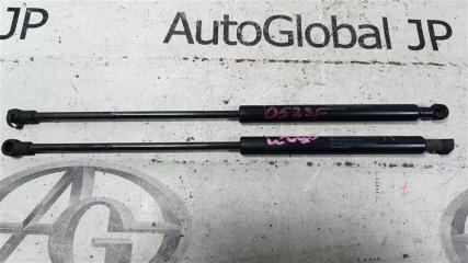 Амортизатор капота передний  NISSAN TEANA PJ31 VQ35DE ,654709Y000 1 ракурс