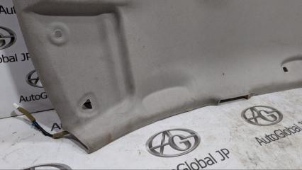 Обшивка потолка NISSAN LEAF ZE0 EM61 739103NK1A 4 ракурс
