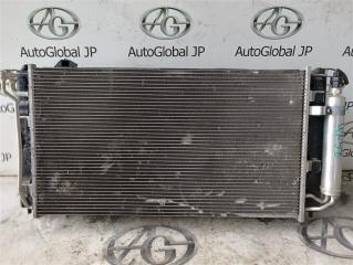 Радиатор основной NISSAN LEAF ZE0 EM61 214103NA0A 1 ракурс