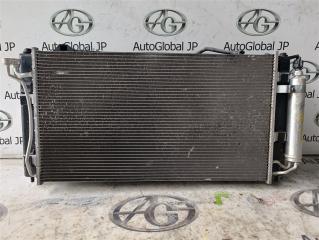 Радиатор основной NISSAN LEAF ZE0 EM61 214103NA0A 1 ракурс