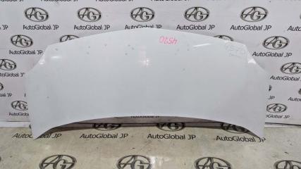 Капот RENAULT KANGOO KW0 K4M 831 651003220R 1 ракурс