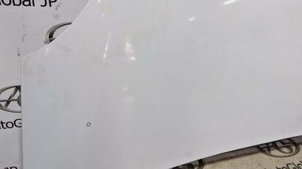 Капот RENAULT KANGOO KW0 K4M 831 651003220R 3 ракурс