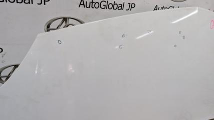 Капот RENAULT KANGOO KW0 K4M 831 651003220R 4 ракурс