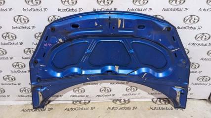 Капот Peugeot 307 3A TU5JP4 7901L9 2 ракурс