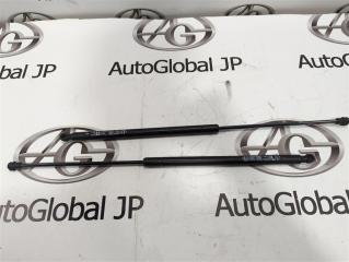 Амортизатор багажника RENAULT KOLEOS HY0 2TR 904505599R 1 ракурс