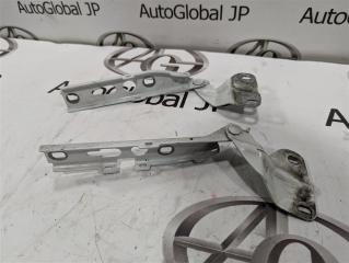 Петля капота AUDI Q3 8U CPSA 8U0823301 2 ракурс