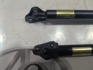Амортизатор багажника TOYOTA HARRIER GSU35W 2GR-FE 6895049165 5 ракурс