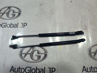 Амортизатор багажника TOYOTA HARRIER GSU36W 2GR-FE 6895049175 1 ракурс