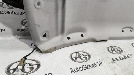 Обшивка потолка NISSAN LEAF ZE1 EM57 739105SK3A 5 ракурс