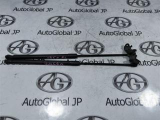 Амортизатор капота LEXUS RX350 GGL10W 2GR-FE 534400W200 1 ракурс