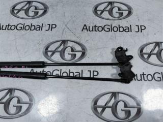 Амортизатор капота LEXUS RX350 GGL10W 2GR-FE 534400W200 3 ракурс
