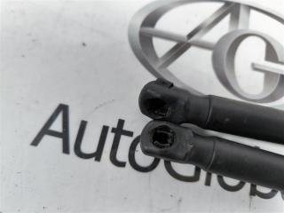 Амортизатор капота LEXUS RX350 GGL10W 2GR-FE 534400W200 5 ракурс