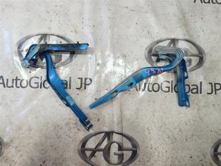Петля капота Peugeot 207 WB EP6 791297 2 ракурс