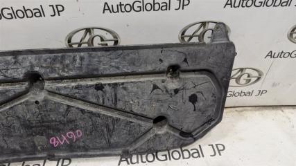 Защита бампера передняя Volkswagen Tiguan 5N CTHD 5N0805915 4 ракурс